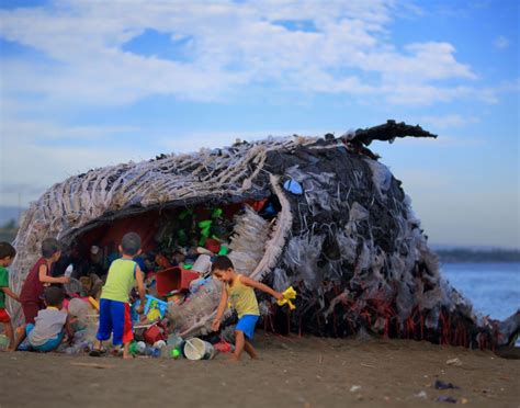 whales dieing from plastic bags fake science|Fishing gear and plastic bag pieces found in the stomach of a .